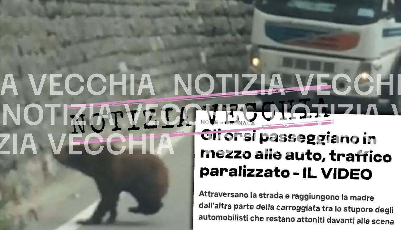 Notizia Vecchia