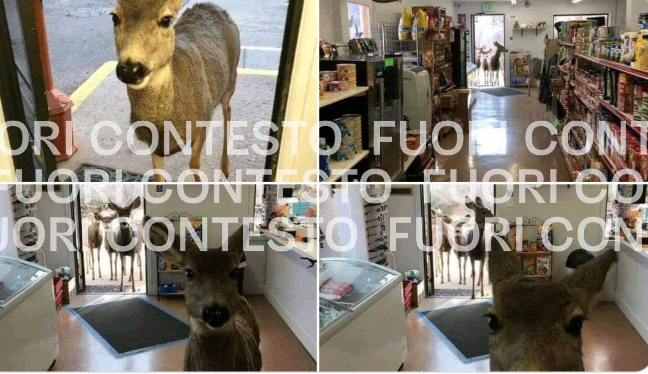 Fuori Contesto