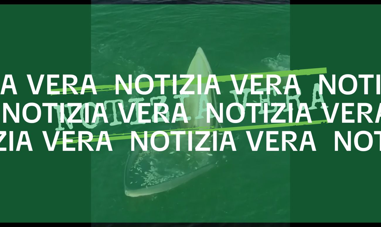 Notizia Vera