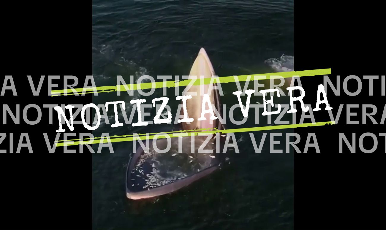 Notizia Vera