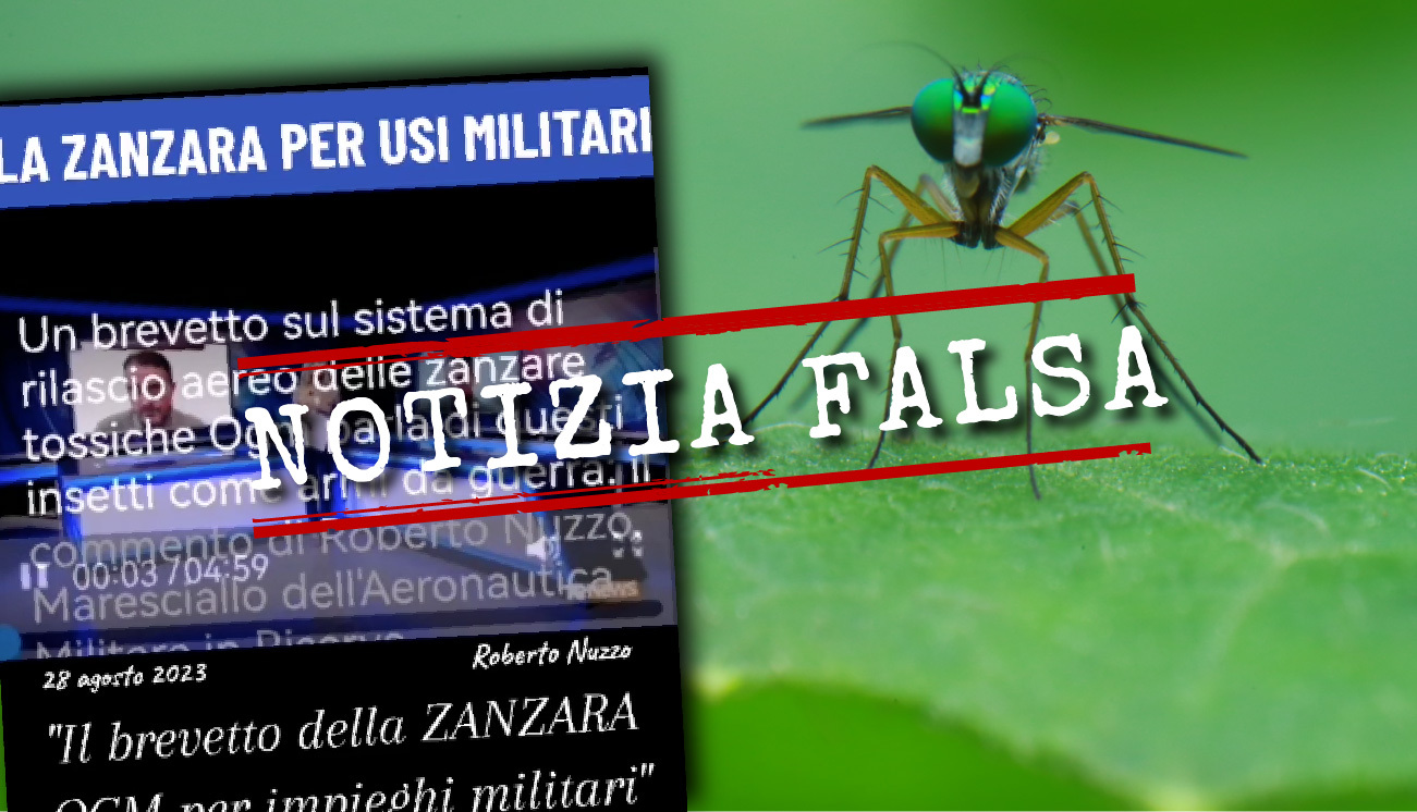 Antizanzara compresse - Green Ravenna